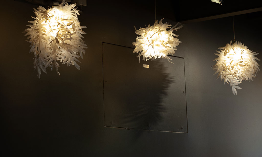 Light of Feathers, S.F. 2020